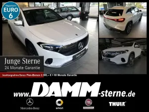 Brugt Mercedes EQA250+