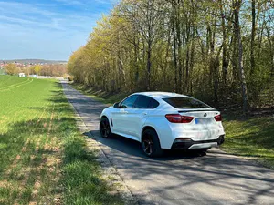Brugt BMW X6