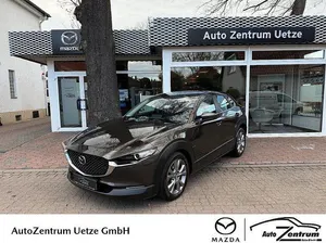 Brugt Mazda CX-30