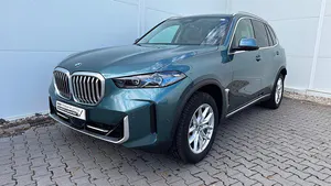 Brugt BMW X5