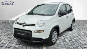 Usata Fiat Panda