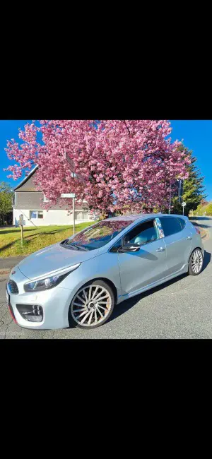 Gebraucht Kia Ceed