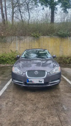 Usata Jaguar XF