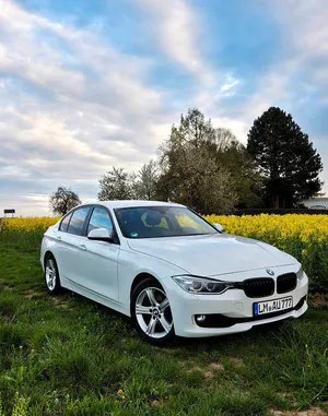 Brugt BMW 316