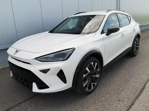 Usata Cupra Formentor