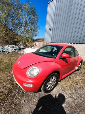 Brugt VW Beetle