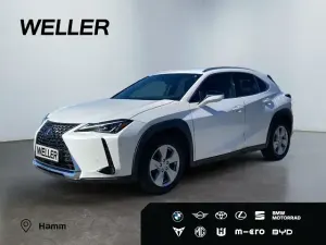 Gebraucht Lexus UX 250h