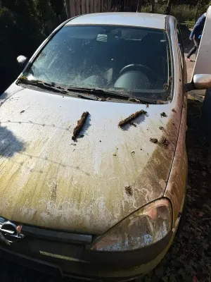 Occasion Opel Corsa