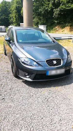 Brugt Seat Leon