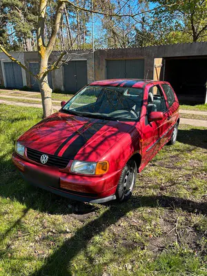Usata VW Polo