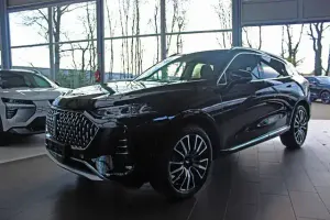 Usata Wey 05