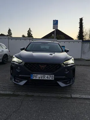 Brugt Cupra Formentor