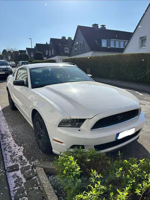 Occasion Ford Mustang