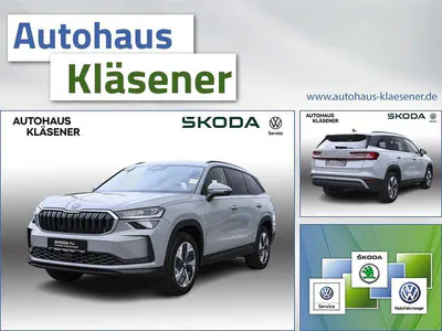Brugt Skoda Kodiaq Selection 150 HK (110 kW) 2024 Grå SUV