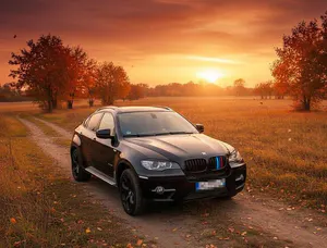 Brugt BMW X6