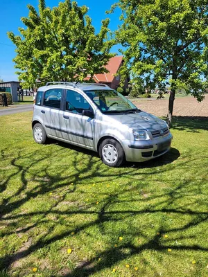 Brugt Fiat Panda