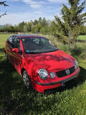 Brugt VW Polo
