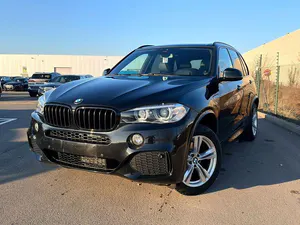 Brugt BMW X5