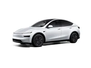 Usado Tesla Model Y