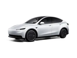 Usado Tesla Model Y