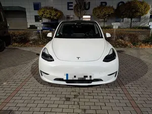 Usado Tesla Model Y