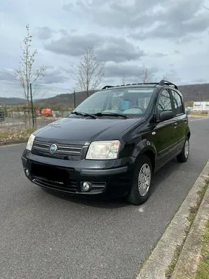 Brugt Fiat Panda