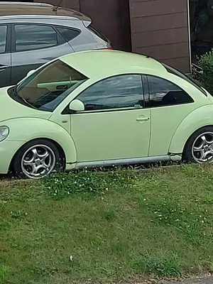 Brugt VW Beetle