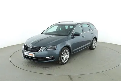 Gebraucht Skoda Octavia Style 150 PS (110 kW) 2019 Grau Kombi