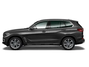 Brugt BMW X5