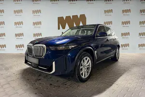 Brugt BMW X5
