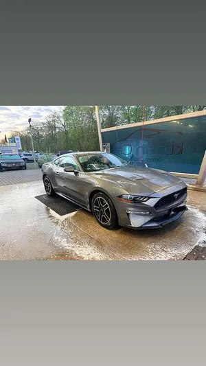 Occasion Ford Mustang