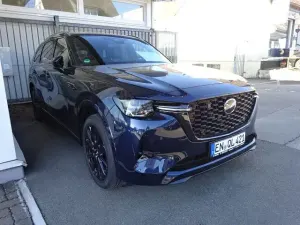Brugt Mazda CX-80