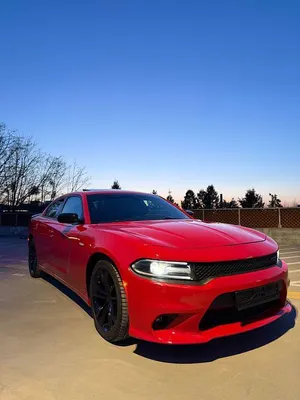Occasion Dodge Charger