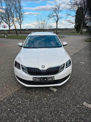 Gebraucht Skoda Octavia
