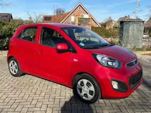 Używany Kia Picanto