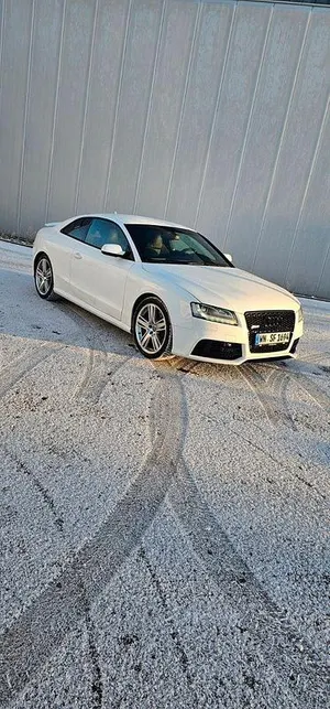 Brugt Audi RS5