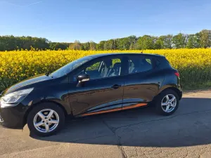 Brugt Renault Clio IV