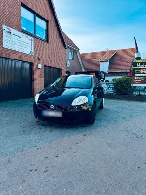 Usata Fiat Punto