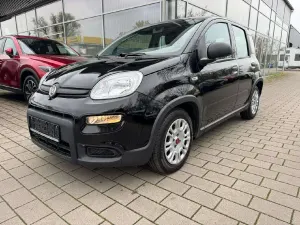 Usata Fiat Panda