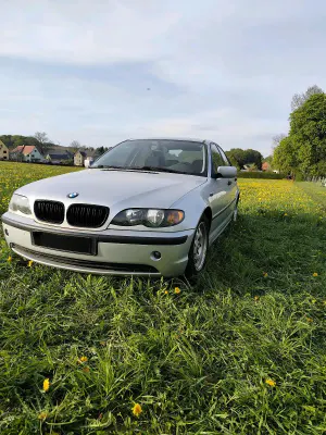 Brugt BMW 316
