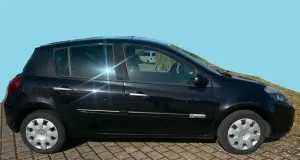 Brugt Renault Clio II