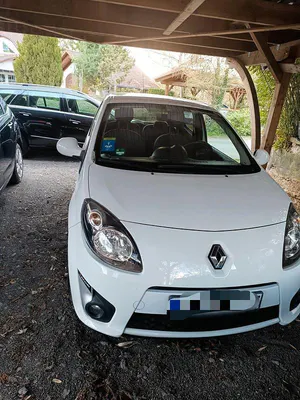 Brugt Renault Twingo