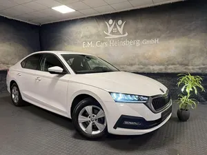 Gebraucht Skoda Octavia