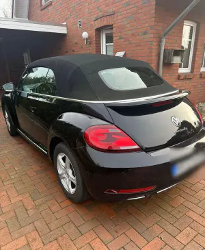 Brugt VW Beetle