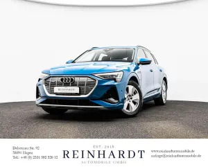 Usata Audi e-tron