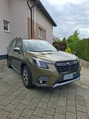 Occasion Subaru Forester
