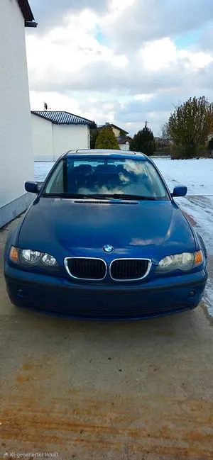 Brugt BMW 316