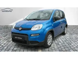 Usata Fiat Panda