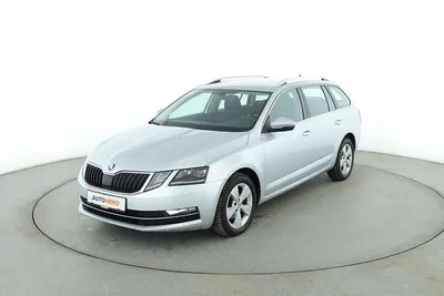 Gebraucht Skoda Octavia Style 150 PS (110 kW) 2019 Grau Kombi