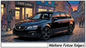 Gebraucht Seat Exeo